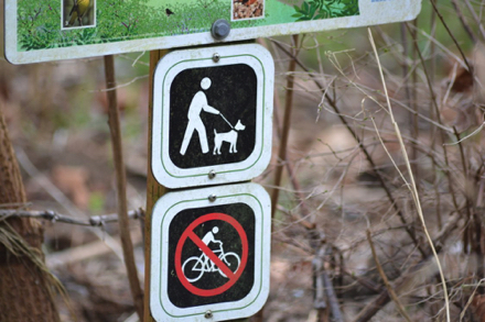 No bikes on the trail and dogs on leash.